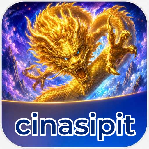 Audit profile cinasipit